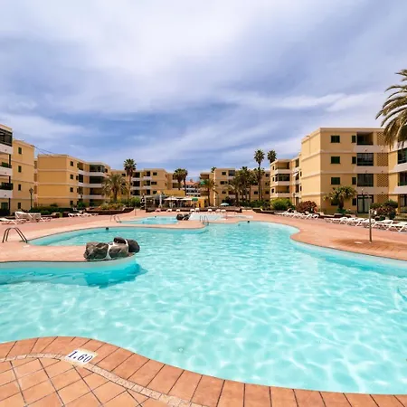 Goris Playa del Ingles (Gran Canaria)